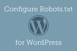 WordPress之robots.txt设置指南：精准吸引搜索引擎+屏蔽安全风险